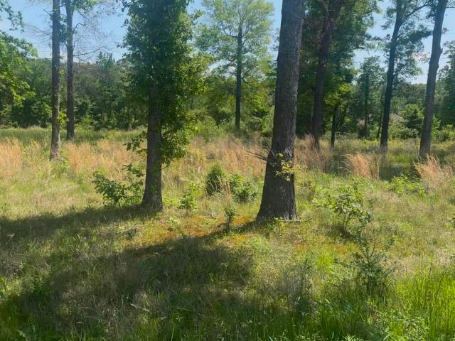 Land for sale in Ark