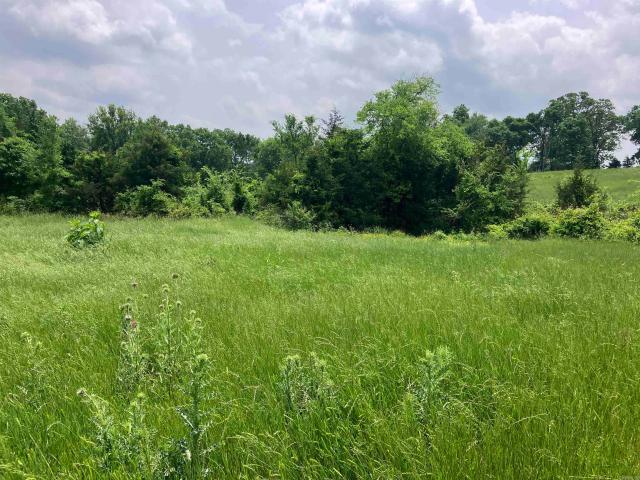 Land for sale in Ark