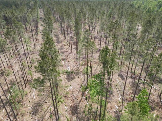 Land for sale in Ark
