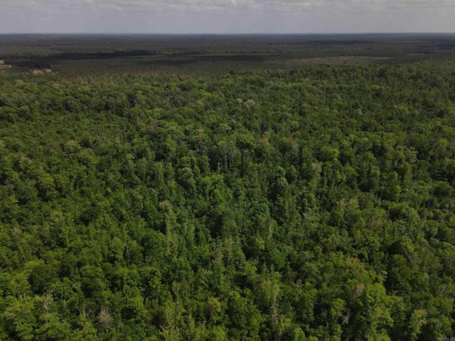 Land for sale in Ark