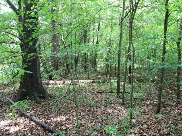 Land for sale in Ark