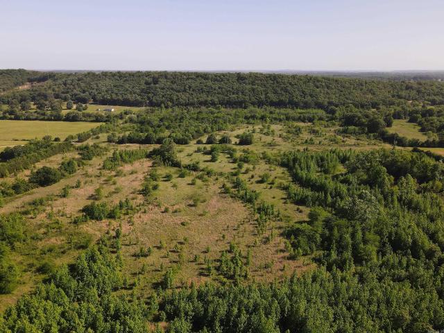 Land for sale in Ark