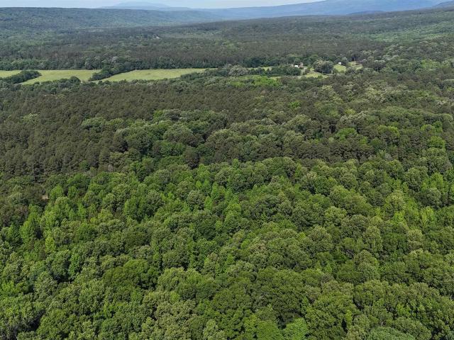 Land for sale in Ark