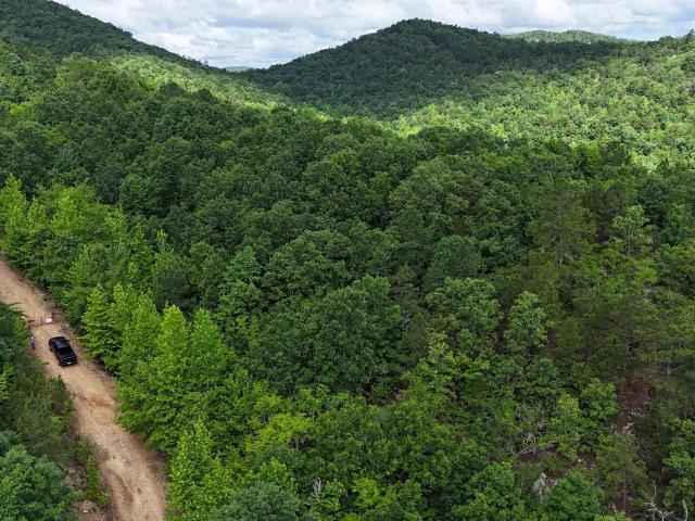 Land for sale in Ark