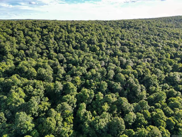 Land for sale in Ark