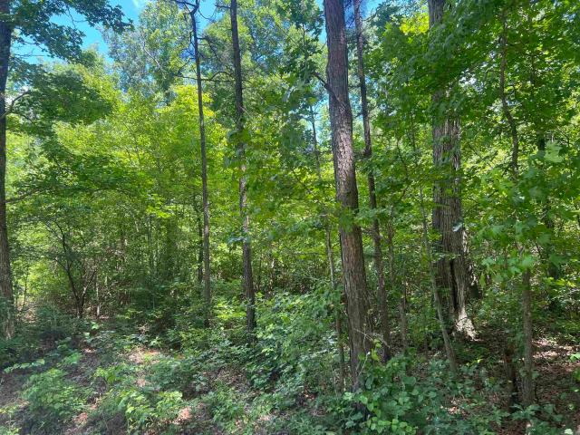 Land for sale in Ark