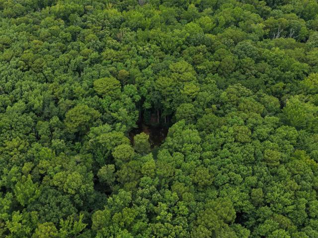 Land for sale in Ark