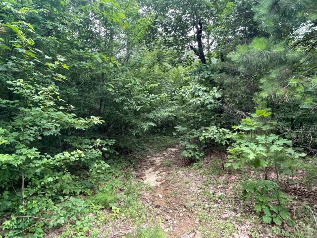 Land for sale in Ark