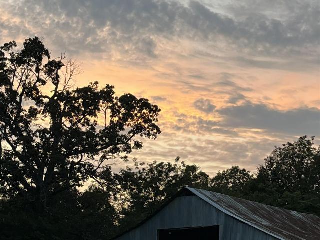 Land for sale in Ark