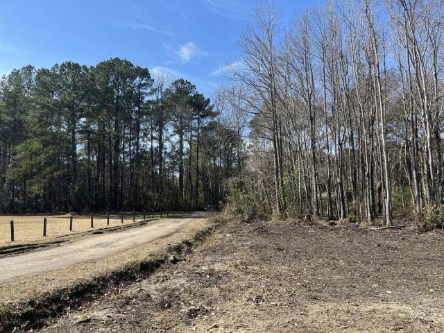 Land for sale in Huger, Berkeley County