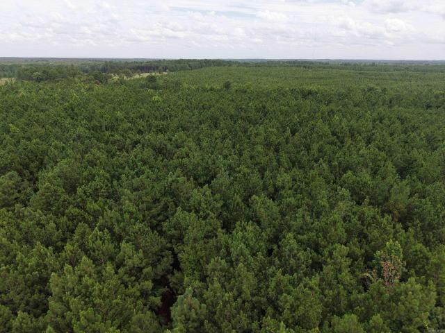 Land for sale in Ark