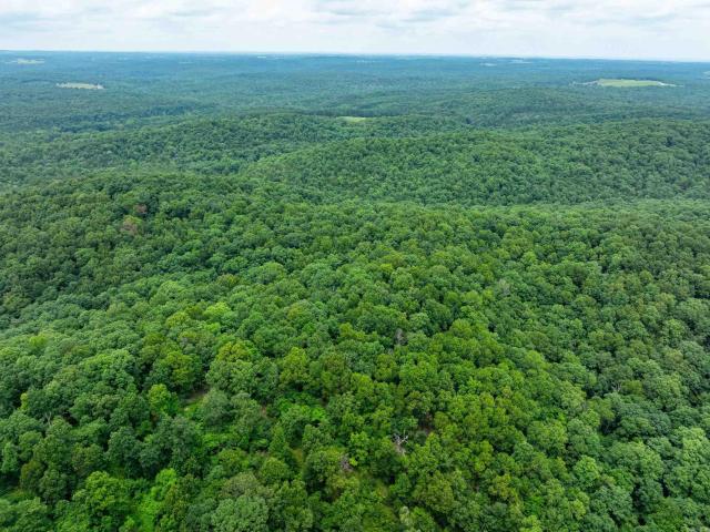 Land for sale in Ark