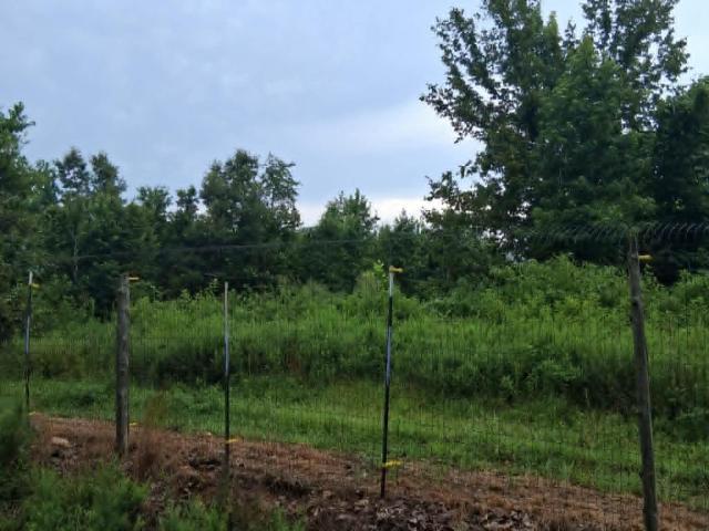 Land for sale in Ark