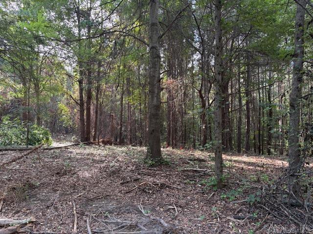 Land for sale in Ark