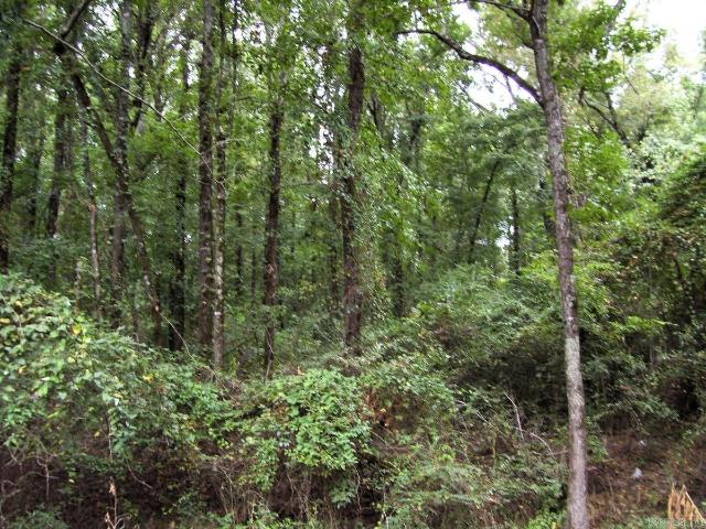 Land for sale in Ark