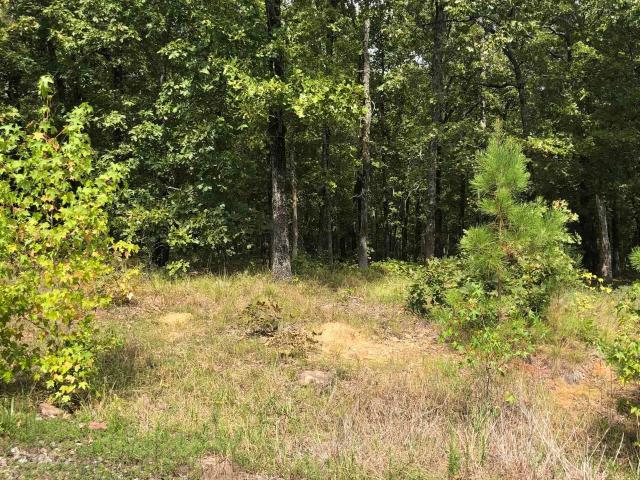 Land for sale in Ark