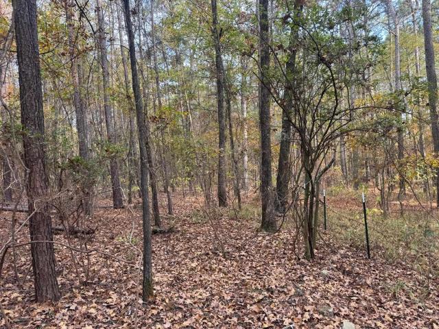 Land for sale in Ark