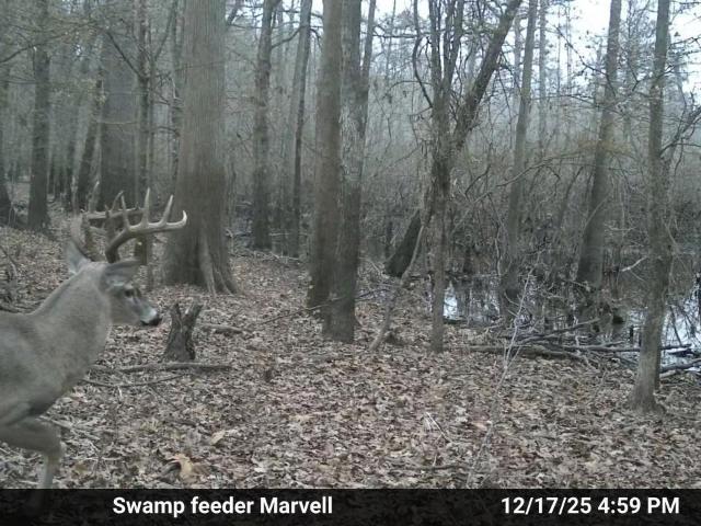 Land for sale in Ark