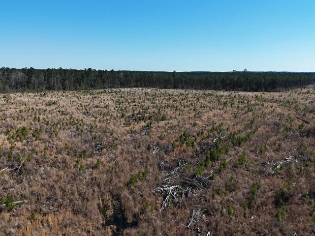 Land for sale in Ark