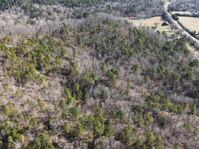Land for sale in Ark