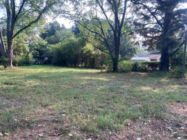 Land for sale in Beebe, White County