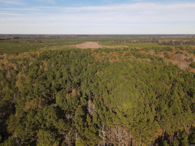 Land for sale in Strong, Union County