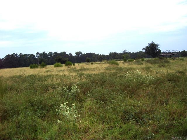 Land for sale in Ark