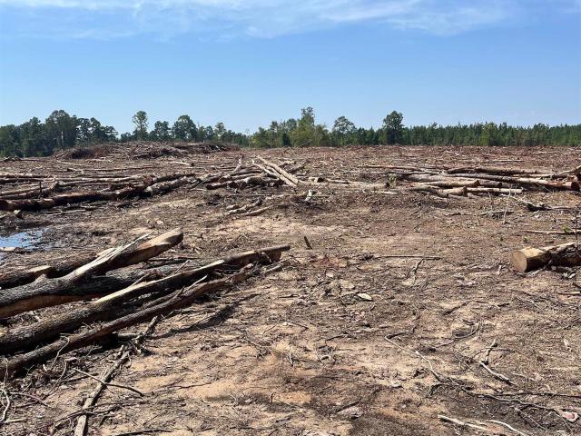 Land for sale in Fordyce, Dallas County
