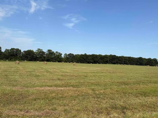 Land for sale in Lonoke, Lonoke County