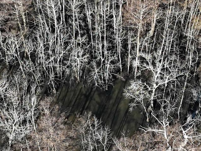 Land for sale in Ark