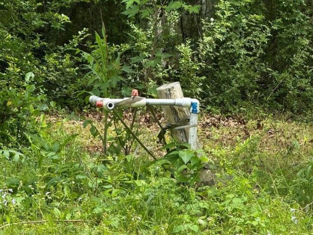 Land for sale in Clinton, Van Buren County