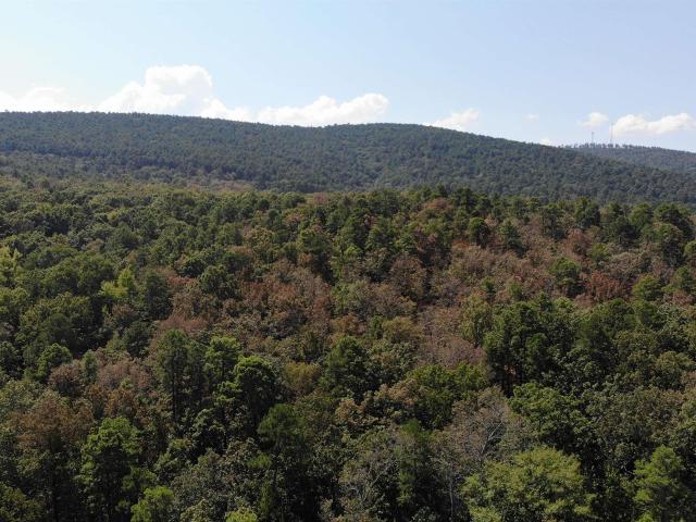 Land for sale in Danville, Yell County