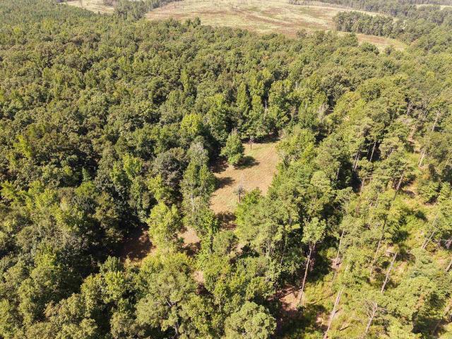 Land for sale in Ark