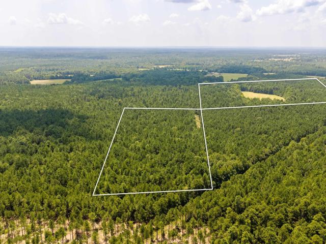 Land for sale in Ark