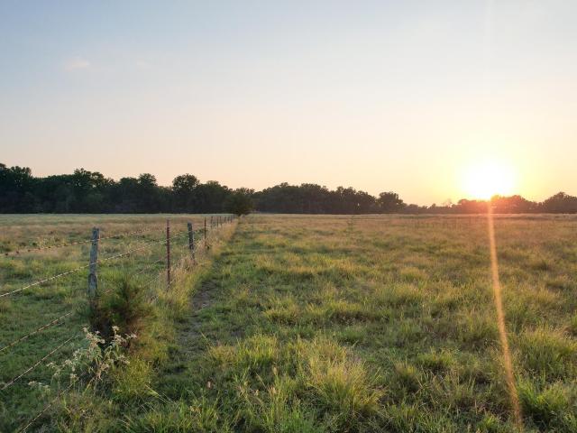 Land for sale in Ark