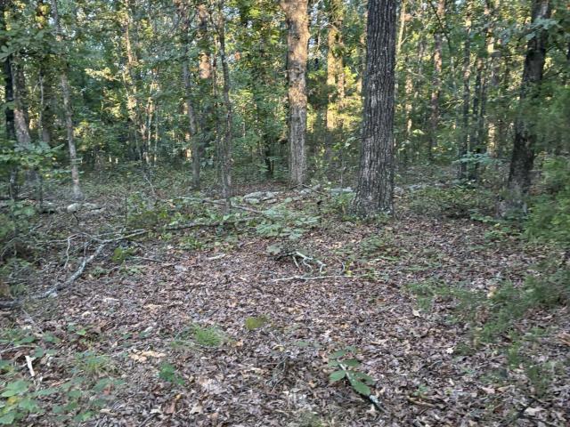 Land for sale in Clinton, Van Buren County