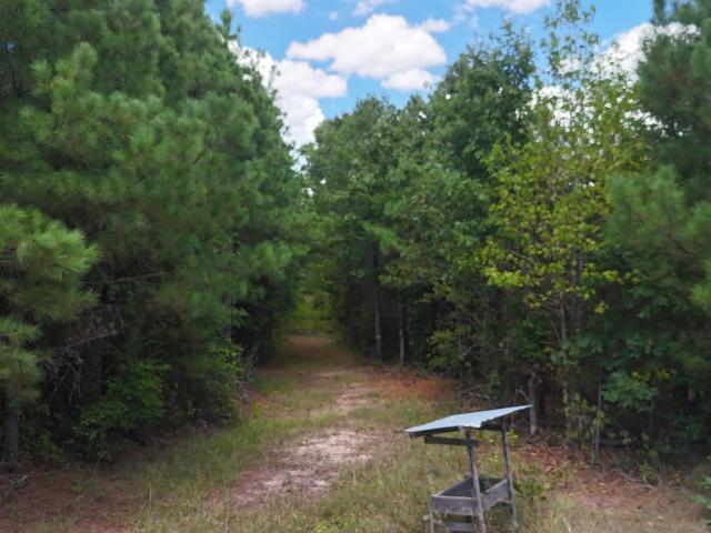 Land for sale in Ark