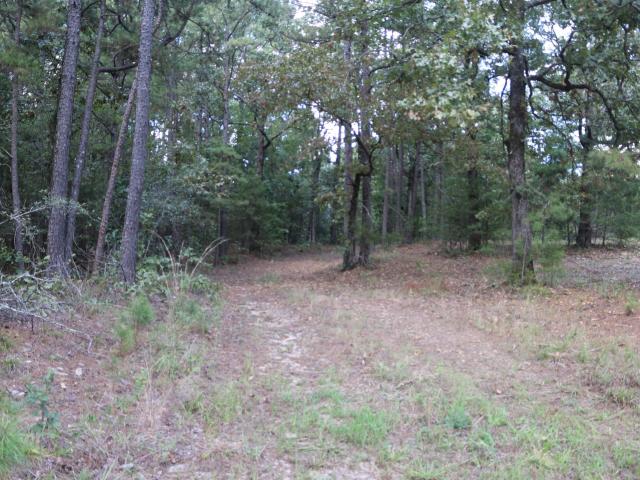 Land for sale in Mena, Polk County