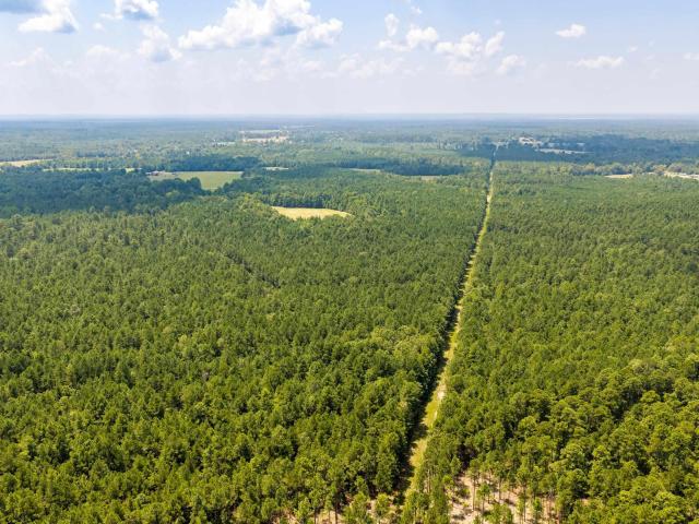 Land for sale in Arkadelphia, Clark County