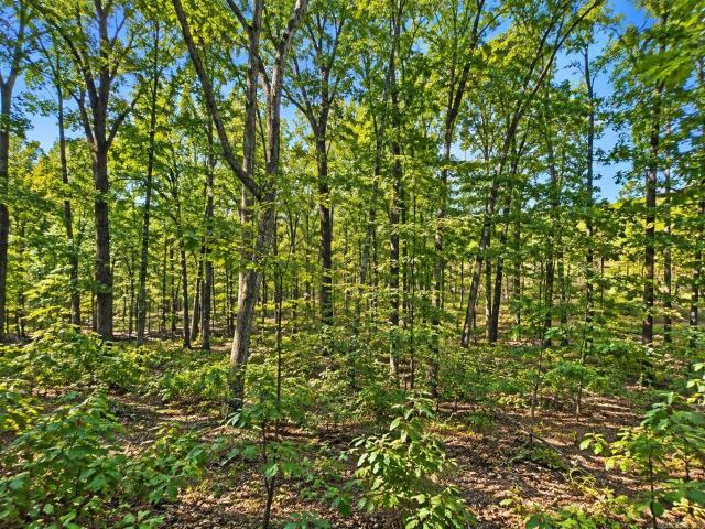 Land for sale in Quitman, Cleburne County