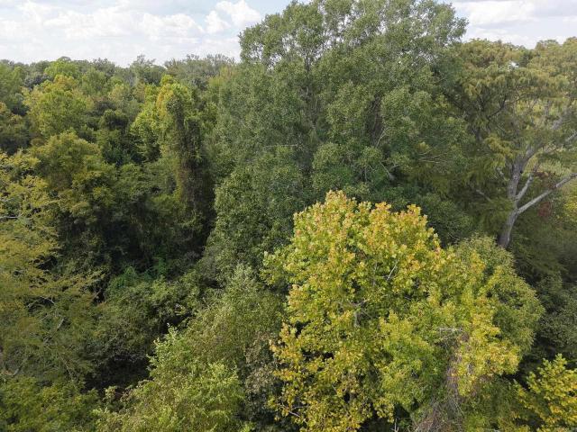 Land for sale in Rison, Cleveland County