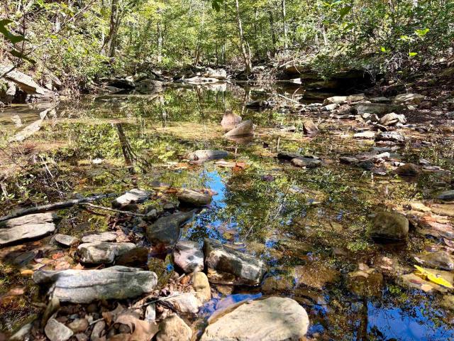 Land for sale in Clinton, Van Buren County
