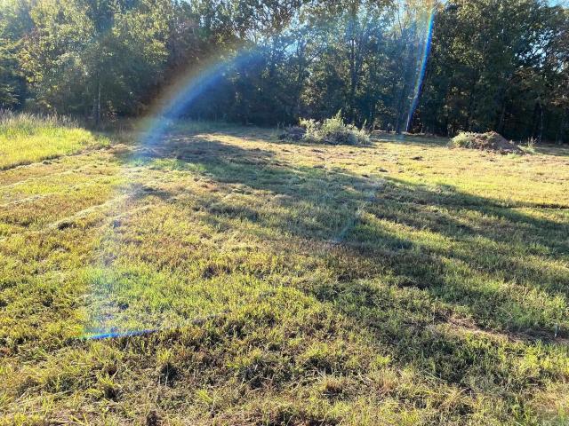 Land for sale in Ashdown, Little River County
