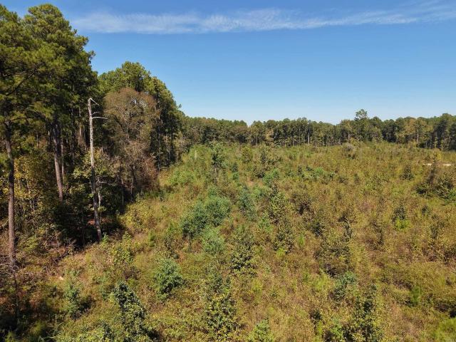 Land for sale in Huttig, Union County