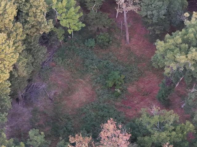 Land for sale in Heth, St. Francis County