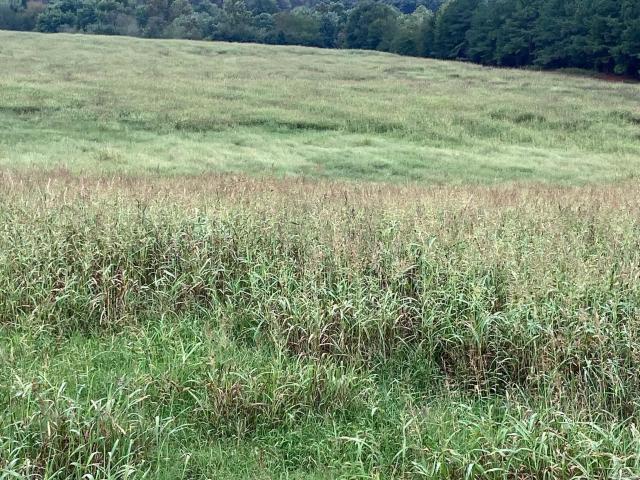Land for sale in Pencil Bluff, Montgomery County
