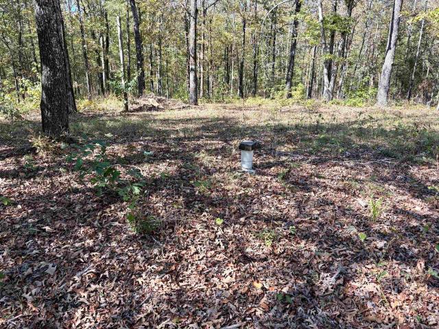 Land for sale in Judsonia, White County