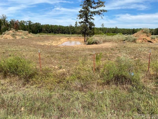 Land for sale in Ashdown, Little River County