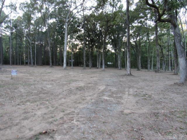 Land for sale in Lonoke, Lonoke County