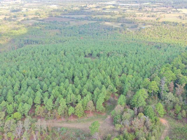 Land for sale in Waldron, Scott County